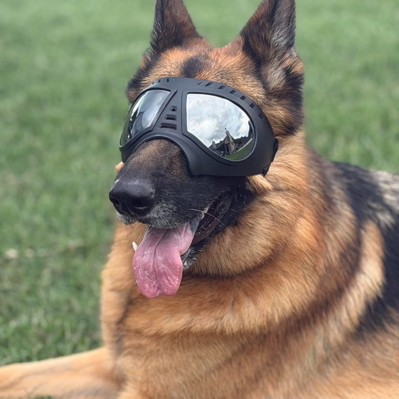 แว่นตาสำหรับสัตว์เลี้ยงสำหรับส - Snow Goggle Uv บทวิจารณ์และราคา