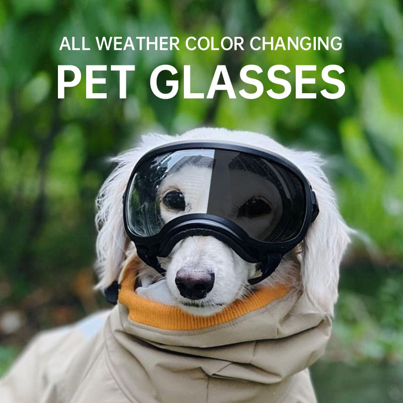แว่นตาเปลี่ยนสีสำหรับสัตว์เลี้ - Snow Goggle Uv บทวิจารณ์และราคา
